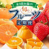 【定期便 全3回】紀州和歌山産旬のフルーツ定期便（田村みかん、いちご、紀州デコ）_G60-T78