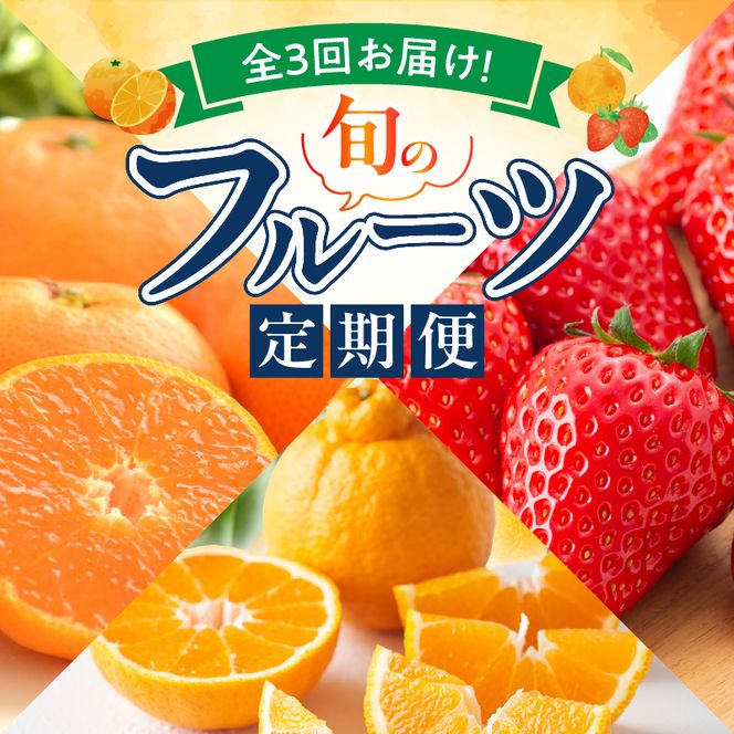 【定期便 全3回】紀州和歌山産旬のフルーツ定期便（田村みかん、いちご、紀州デコ）_G60-T78