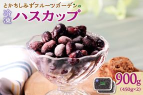 【2025年発送先行予約！】とかちしみずフルーツガーデンのハスカップ900g_S009-0005