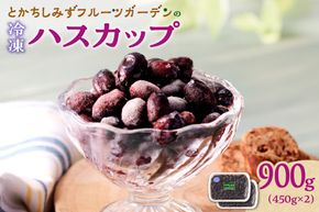 【2026年発送先行予約！】とかちしみずフルーツガーデンのハスカップ900g_S009-0016