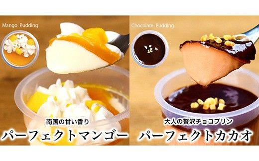 パーフェクトプリン10個入　パティスリー天使のおくりもの　※離島への配送不可