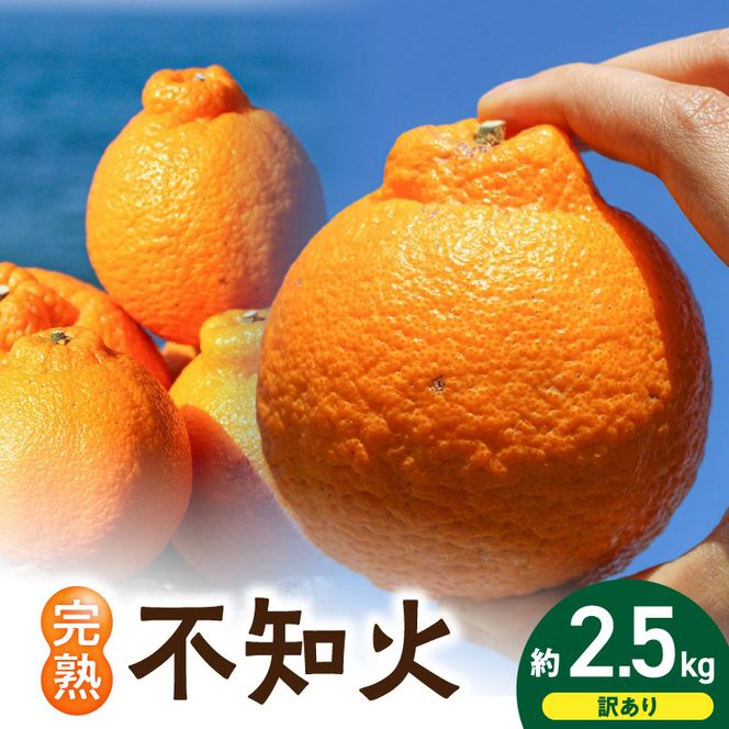 【2027年先行予約】【訳あり・ご家庭用】 和歌山県産 完熟 不知火 2.5kg 甘酸っぱい味わいと芳醇な風味がたまらない高級柑橘!_EA6020n
