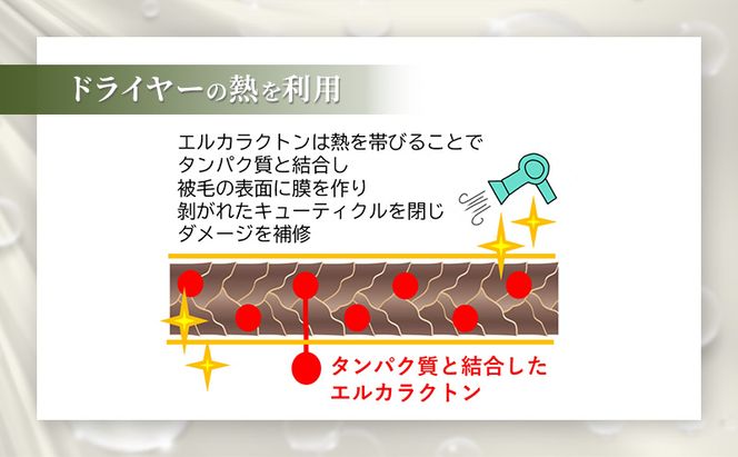 【犬用】アーユルニームシャンプーミニボトル20ml×2本セット 植物由来成分シャンプー 雑貨 日用品 犬用シャンプー