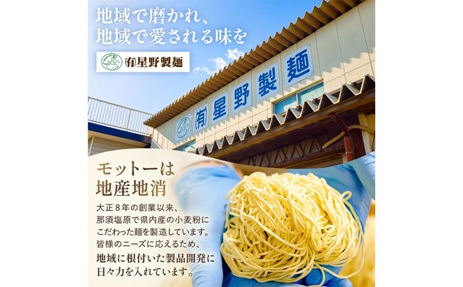 ns036-013-10 野州醤油ラーメン　10袋セット