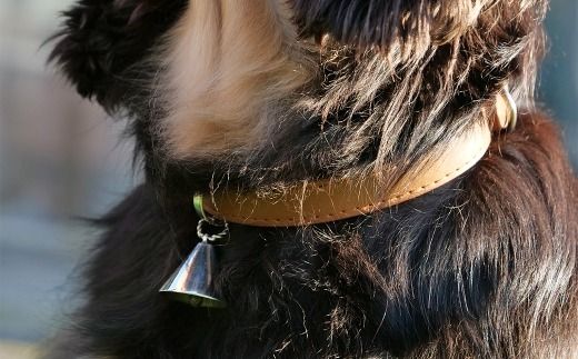 【 唯一無二のペットジュエリー 】 HAPPY BELL 受注生産 シルバー アクセサリー オリジナル ハンドメイド ファッション 装飾品 ペット 動物 お洒落 オシャレ シルバーアクセサリー ベル型 ベル 首輪