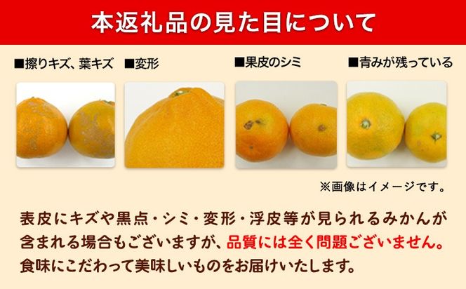 みかん 超訳あり早生みかん 約5kg 約10kg  《12月上旬-2月上旬頃出荷》 和歌山県 日高川町 みかん ミカン 早生みかん 蜜柑 柑橘 訳あり 果物 くだもの フルーツ 青果物---wshg_dsk98_12j2j_26_7000_5---