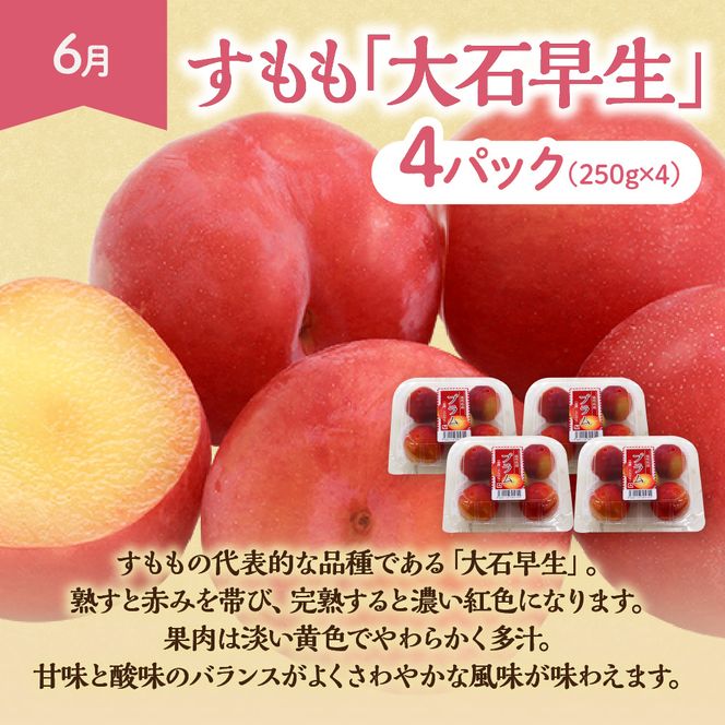 【定期便/年5回】JAむなかた厳選！人気フルーツ定期便【JAむなかた ほたるの里】_HB0164