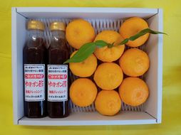 【2025年発送分】特選ゆずポン酢2本とゆず中玉7～9個セット　ゆず 柚子 ユズ 柚 生ユズ 生ゆず