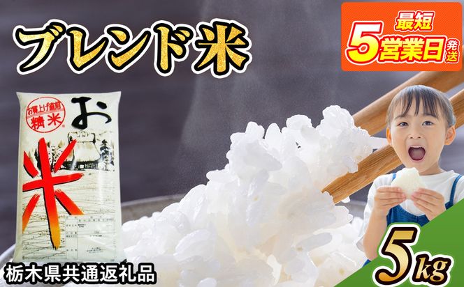 米 ブレンド米 5kg 栃木県産【栃木県共通返礼品】