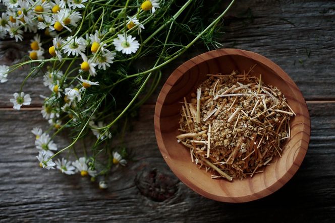 華密恋 ナチュラルモイストクレンジング 120mL [カミツレ研究所 長野県 池田町 48110795] カミツレン カミツレ クレンジング