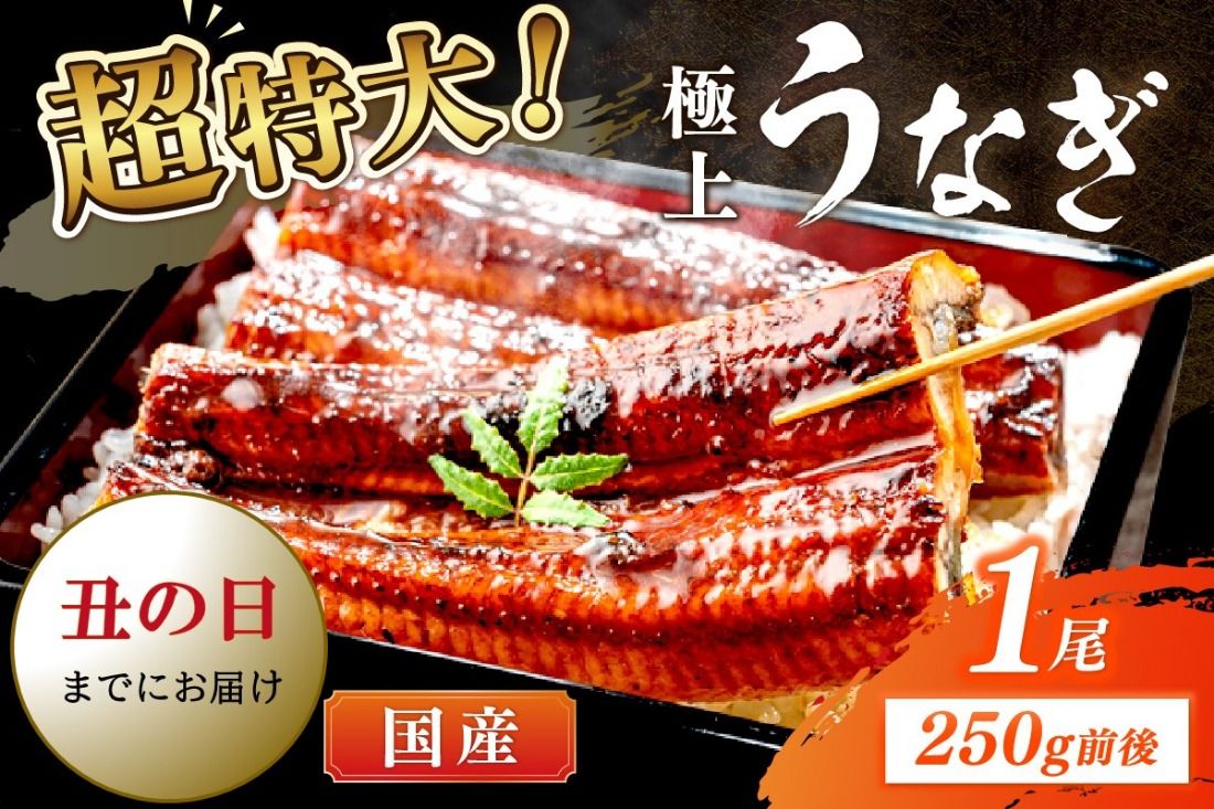 [7月30日〜8月1日配送]超特大!極上!国産うなぎ蒲焼 1尾 250g前後 YK00400_02