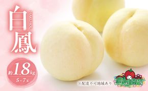 桃 2026年 先行予約 白桃 白鳳 約1.8kg 5～7玉 進物用 もも モモ フルーツ 果物 岡山 赤磐市産 農マル園芸 あかいわ農園 