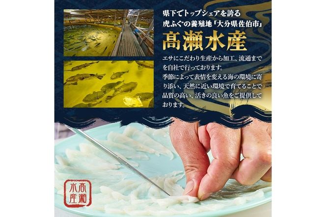虎ふぐセット(4-5人前) ふぐ フグ トラフグ とらふぐ あら アラ 鍋用 刺身 皮 ひれ 薬味付き【GP002】【高瀬水産】