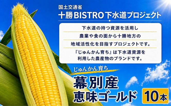 2027年発送先行予約 北海道 十勝 幕別産 とうもろこし 恵味ゴールド 10本「じゅんかん育ち」北王農林［十勝BISTRO下水道プロジェクト］【 とうもろこし とうきび コーン 野菜 フルーツ 甘い 】