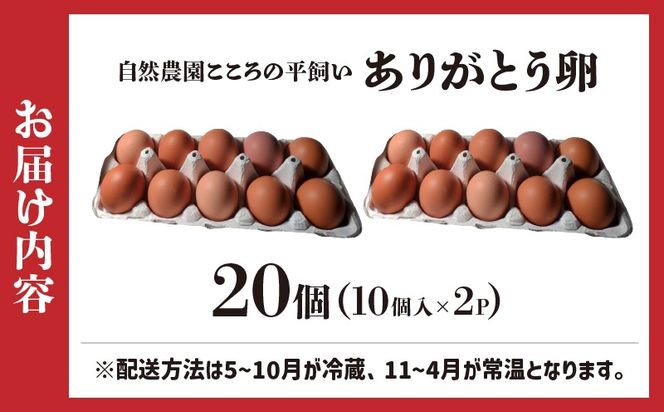 自然農園「こころ」の平飼い『ありがとう卵』 20個（10個×2パック）