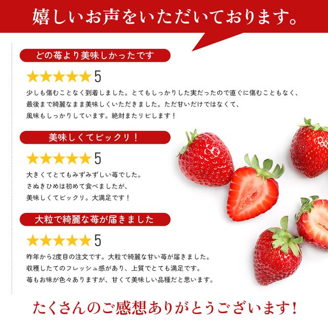 いちご 香川県オリジナル品種 さぬきひめ 400g 化粧箱 1月2月発送 香川県産 苺 イチゴ フルーツ 果物 くだもの 旬のフルーツ 旬の果物 大粒 採れたて 冷蔵 香川 香川県 東かがわ市