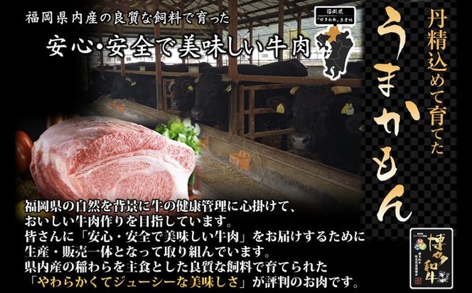 博多和牛肩ロース焼肉用・スライス各400g