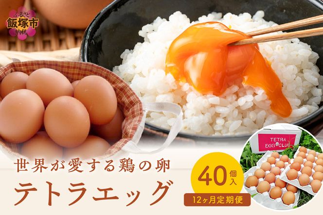 【J3-015】テトラエッグ(40個/月)【12ヵ月定期便】