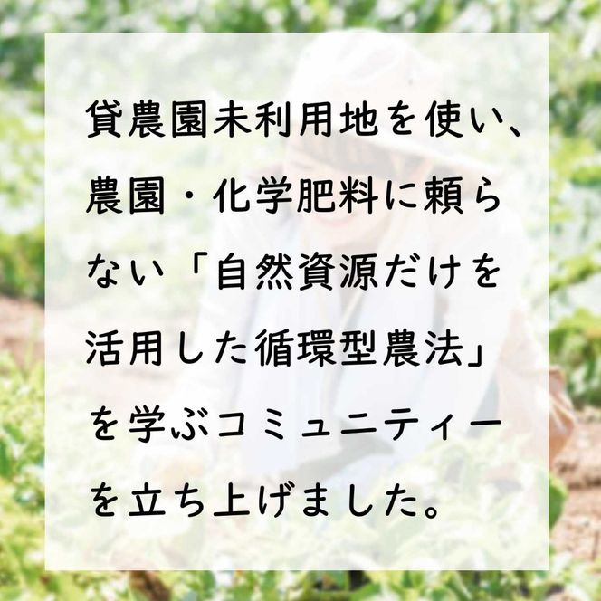 S25足柄ふれあい公園　体験農園　みんなの畑・おやま協賛プラン	