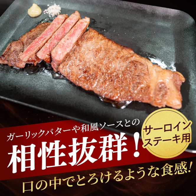 常陸牛サーロイン(ステーキ用)500g (250g×2枚)|黒毛和牛 国産和牛 冷凍 お取り寄せ おかず ギフト 牛肉 人気 茨城県 取手市（AV005）