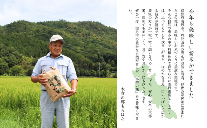 令和7年産 京都丹波産ヒノヒカリ 10kg お米 米 精米 白米