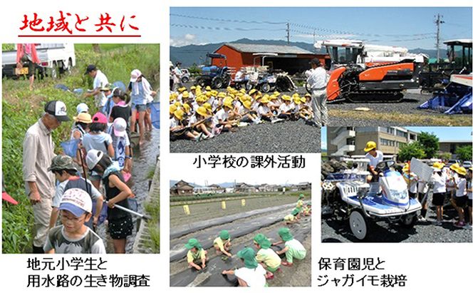 定期便 4カ月【 令和8年産 】毎月  精米 10kg（ 白米 /7分/ 5分 ツキ可）【 ミルキークイーン 】玄米は別に出品
