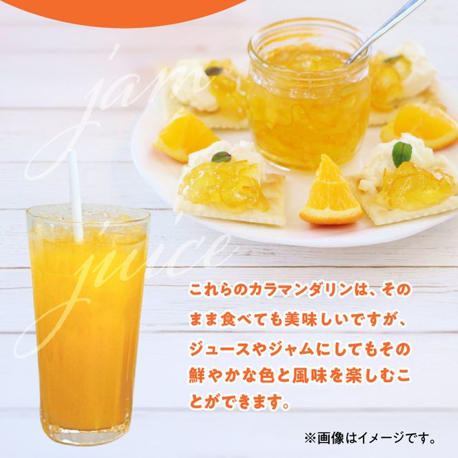 【2027年先行予約】和歌山県産 カラマンダリン 約3kg 秀品_ZE6500