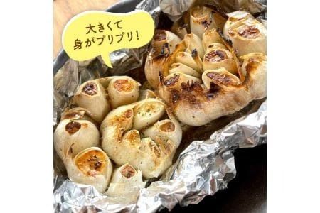 にんにく 1kg 数量限定《糸島》【爽風農園】【いとしまごころ】[AHZ002]