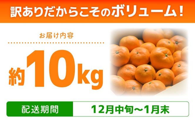 【2026年12月中旬～発送】【訳あり】家庭用 南高みかん 10kg / みかん ミカン 蜜柑 果物 フルーツ / 南島原市 / 南高果樹農業協同組合[SGI002]