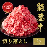 【和牛セレブ】能登牛 切り落とし 1kg（500g×2P） お肉ギフト専門店 石川県 能美市 172111_DB002
