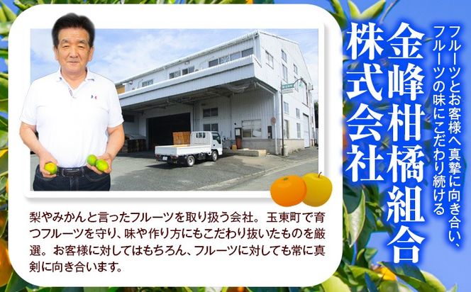 みかん 約10kg (2S-2Lサイズ) 金峰柑橘組合株式会社 ミカン 柑橘 フルーツ 旬 熊本県 玉名郡 玉東町 《10月中旬-1月中旬頃出荷》贈り物 果物 くだもの---gkt_knp_6_10k---