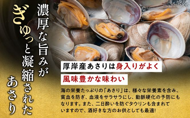訳あり 北海道 厚岸産 砂出し済み 活あさり 1kg×2 (合計2kg) 【厚岸海産】[ アサリ 魚貝 海鮮 大粒 美味しい 栄養 旨み 砂出し 水洗い 冷蔵 便利 ]