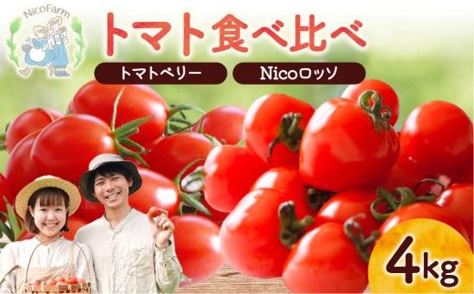 【先行予約2026年7月】子供も大好き！フルーツのように甘いミニトマト2種 各2kg トマトベリー & Nicoロッソ_Y124-0023