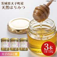 【2026年10月～2027年4月発送】天然はちみつ【大子のふじ蜜 120g×3本セット】|茨城県 大子町 奥久慈 ハチミツ 蜂蜜 プレゼント 包装（BG002）