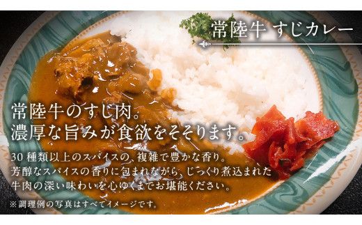 常陸牛 すじカレー 200g ×6 【茨城県共通返礼品】　カレー 牛すじ お肉 牛肉 簡単 冷凍 レトルト