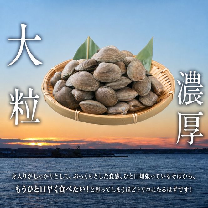 厚岸産 牡蠣 「マルえもん」 LLサイズ 30個 (約4kg) と 厚岸産 あさり 1kg セット (合計約5kg) 牡蠣 あさり 貝類 魚貝類 加工食品 カキ シーフード マルえもん