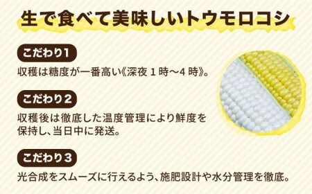 【 先行予約：2024年7月以降順次発送 】 糸島 トウモロコシ 『もきっこ』 白 黄 ミックス （ 8～10本 ） 《糸島》 【内田農業】 [AZH003]