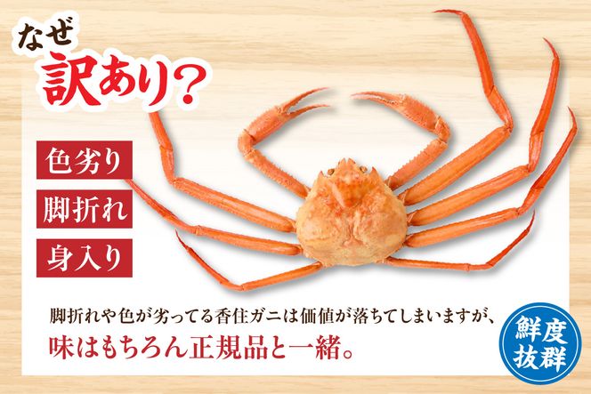 【訳あり 香住ガニ 釜茹で ボイル 大きめ 約600g×3匹（約1.8kg以上）冷蔵】大人気 人気 おすすめ 注意書きの確認を必ずお願いします 国産 カニの本場 香住 兵庫県 香美町 1～2本足折れ ベニズワイガニ かに カニ 蟹 日本海フーズ 07-14 ☆