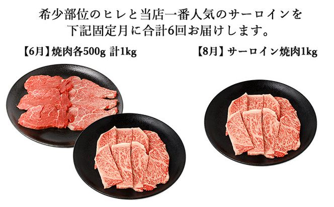 【年6回偶数月発送】伊賀牛 A5ヒレ・サーロイン 定期便A 総合計約6.1kg dido-tkb0025