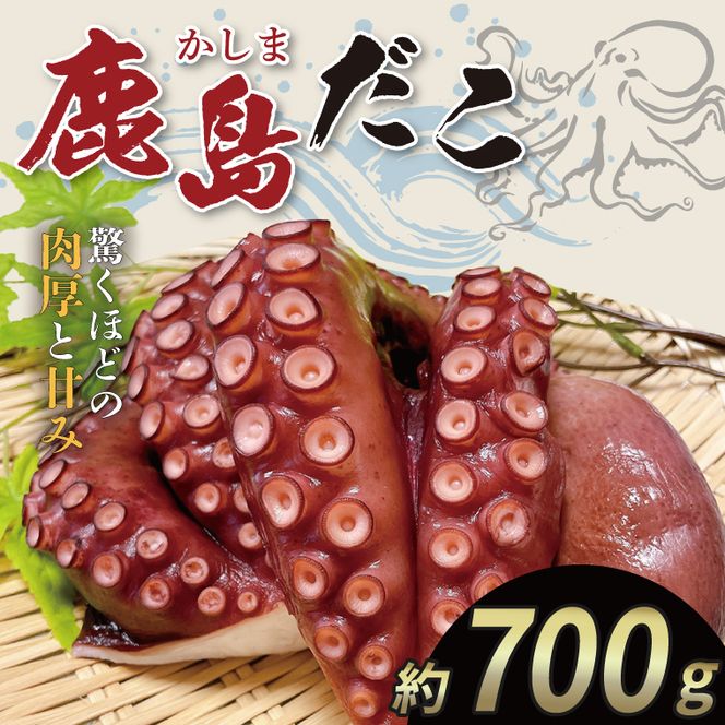 鹿島だこ【たこ タコ 蛸 海鮮 新鮮 魚貝 地たこ 刺身 鹿島灘 鹿嶋市 茨城県 20000円以内 2万円以内】（KM-9）