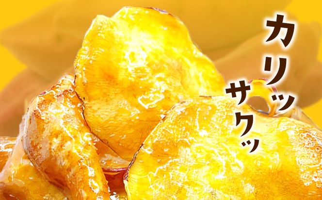 005A742 【特別規格】さのやチップス（プレーン味）80g×2パック 芋匠さのや 人気メニュー お試し