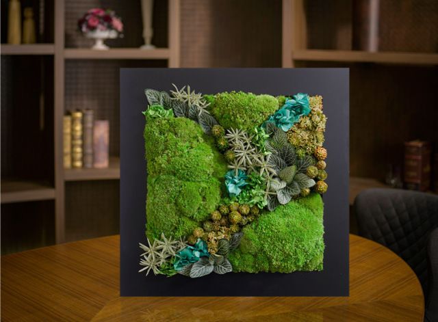 グリーンフレーム２L 花 お花 プリザーブドフラワー ギフト プレゼント お祝い 誕生日 お供え アレンジ インテリア 東京都 墨田区