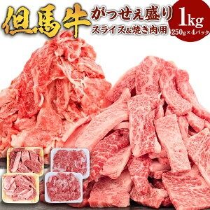 【ふるさと納税】但馬牛 がっせぇ盛り（スライス＆焼肉用・1kg）250g 2種 各2パック 合計4パック 小分け 肉 牛肉 お肉 スライス 薄切り 食べ比べ セット 赤身 バラ バラ肉 ばら 国産 黒毛和牛 和牛 焼肉 焼き肉 BBQ お取り寄せ 冷凍 兵庫県 新温泉町 送料無料