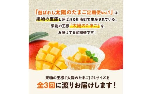 【3ヶ月定期便】選ばれし太陽のたまご定期便Vol.1【 川南町産 くだもの マンゴー 】[C11708t3]