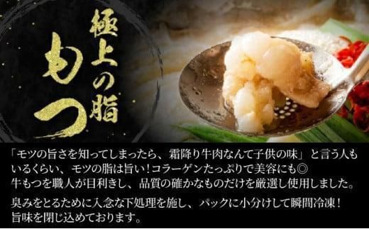 ＜最短10営業日以内発送＞2～3人前 絶品塩もつ鍋セット（300g）