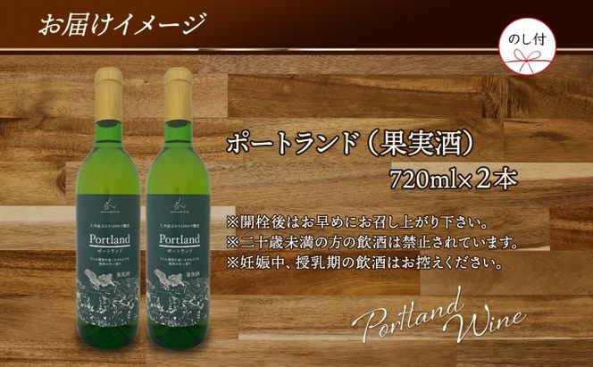 無地熨斗 ポートランド ブドウ ワイン 720ml 2本 セット 熨斗付き 葡萄 ぶどう 果実酒 お酒 アルコール 白ワイン 辛口 お取り寄せ ギフト gift ボトル 紙箱 御中元 お中元 熨斗 のし 自然農園 