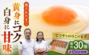 【全12回定期便】【30個×12ヶ月】黄身にコク！白身に甘み！てつやとのりこの玉子 板垣ファーム [AWD010]