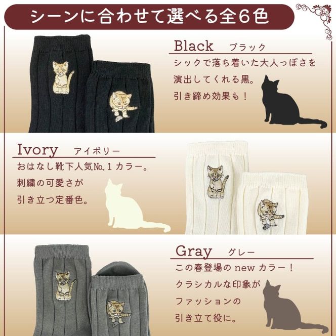 おはなし靴下 ギフトボックス スナネコ レディース ネイビー