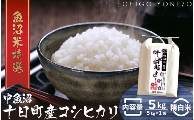 魚沼十日町コシヒカリ5kg【ギフト】 米 お米 おこめ こめ 精米 白米 こしひかり 新潟 