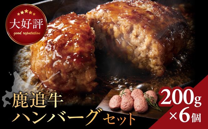 鹿追牛ハンバーグセット 200g×6個 SKA007